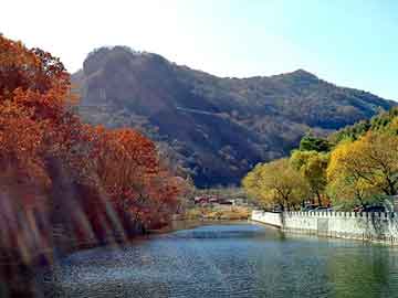 大三巴一肖二码最准，上海排水板